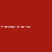 Mittelm&auml;&szlig;ige Bronze-Gabel