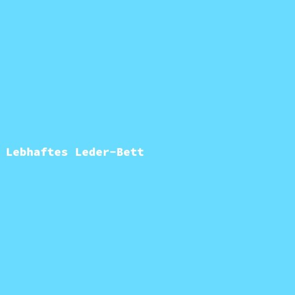 Lebhaftes Leder-Bett