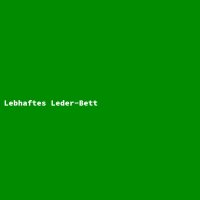 Lebhaftes Leder-Bett