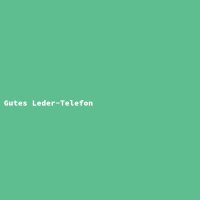 Gutes Leder-Telefon