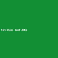 G&uuml;nstiger Samt-Akku