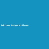 Schickes Polyamid-Kissen