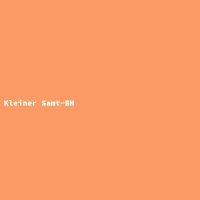 Kleiner Samt-BH
