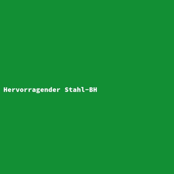 Hervorragender Stahl-BH