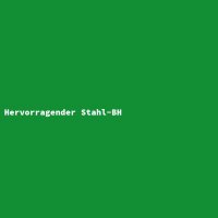 Hervorragender Stahl-BH