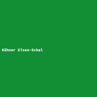 K&uuml;hner Eisen-Schal
