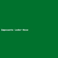 Imposante Leder-Hose