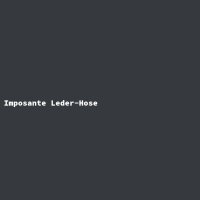 Imposante Leder-Hose
