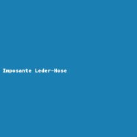 Imposante Leder-Hose