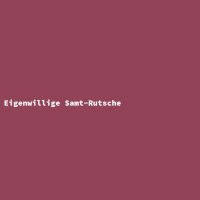 Eigenwillige Samt-Rutsche