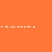 Reichhaltige Stahl-Brille_15