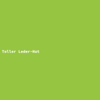 Toller Leder-Hut