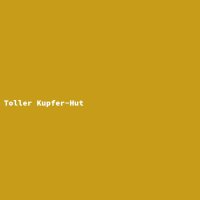 Toller Kupfer-Hut
