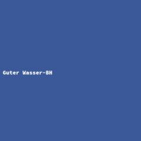 Guter Wasser-BH
