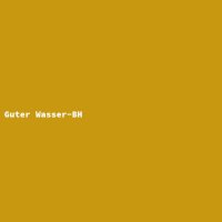 Guter Wasser-BH