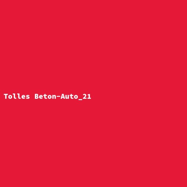 Tolles Beton-Auto_21