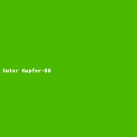 Guter Kupfer-BH
