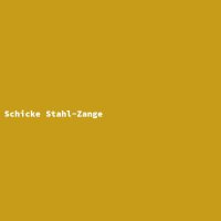Schicke Stahl-Zange