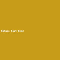 K&uuml;hnes Samt-Hemd