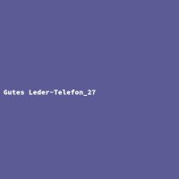 Gutes Leder-Telefon_27