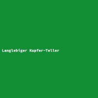 Langlebiger Kupfer-Teller