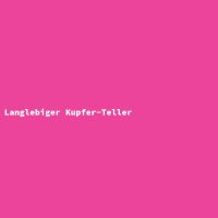 Langlebiger Kupfer-Teller