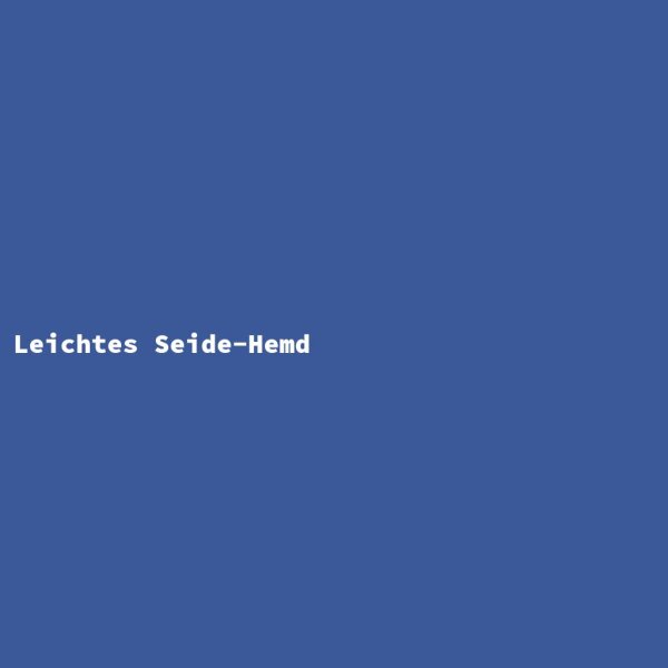 Leichtes Seide-Hemd