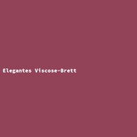 Elegantes Viscose-Brett