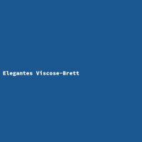 Elegantes Viscose-Brett