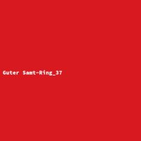 Guter Samt-Ring_37