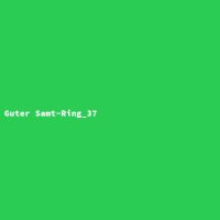 Guter Samt-Ring_37
