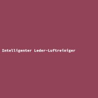 Intelligenter Leder-Luftreiniger