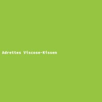 Adrettes Viscose-Kissen