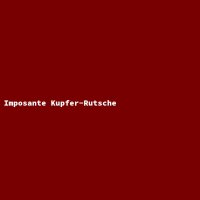 Imposante Kupfer-Rutsche