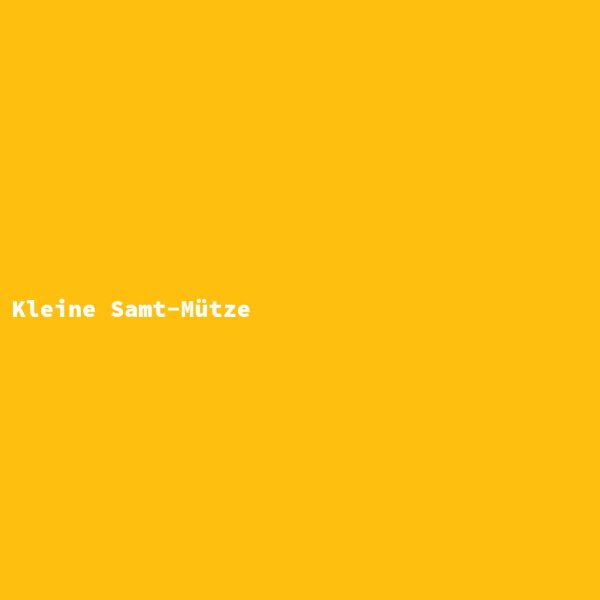 Kleine Samt-M&uuml;tze