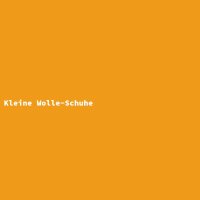 Kleine Wolle-Schuhe