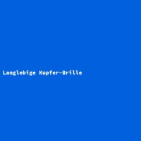 Langlebige Kupfer-Brille