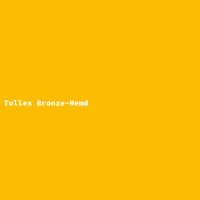 Tolles Bronze-Hemd