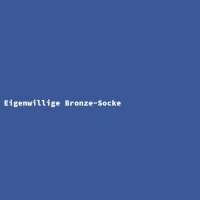 Eigenwillige Bronze-Socke