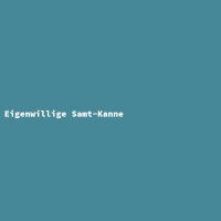 Eigenwillige Samt-Kanne